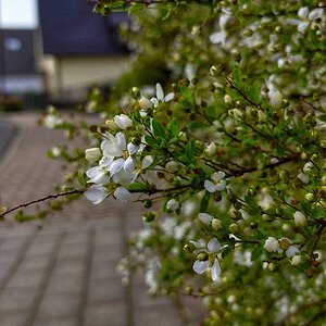 IMG_20200228_132955-01.jpeg
