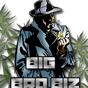 BigBro.biz - однажды зайдя сюда ты пожалеешь, но тебе понравится!