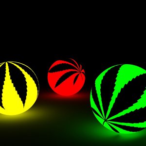 rasta 3.jpg