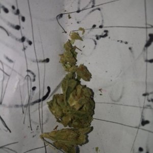 ChungOGkushVenom2.jpg