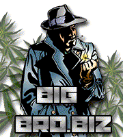 BigBro.biz - однажды зайдя сюда ты пожалеешь, но тебе понравится!