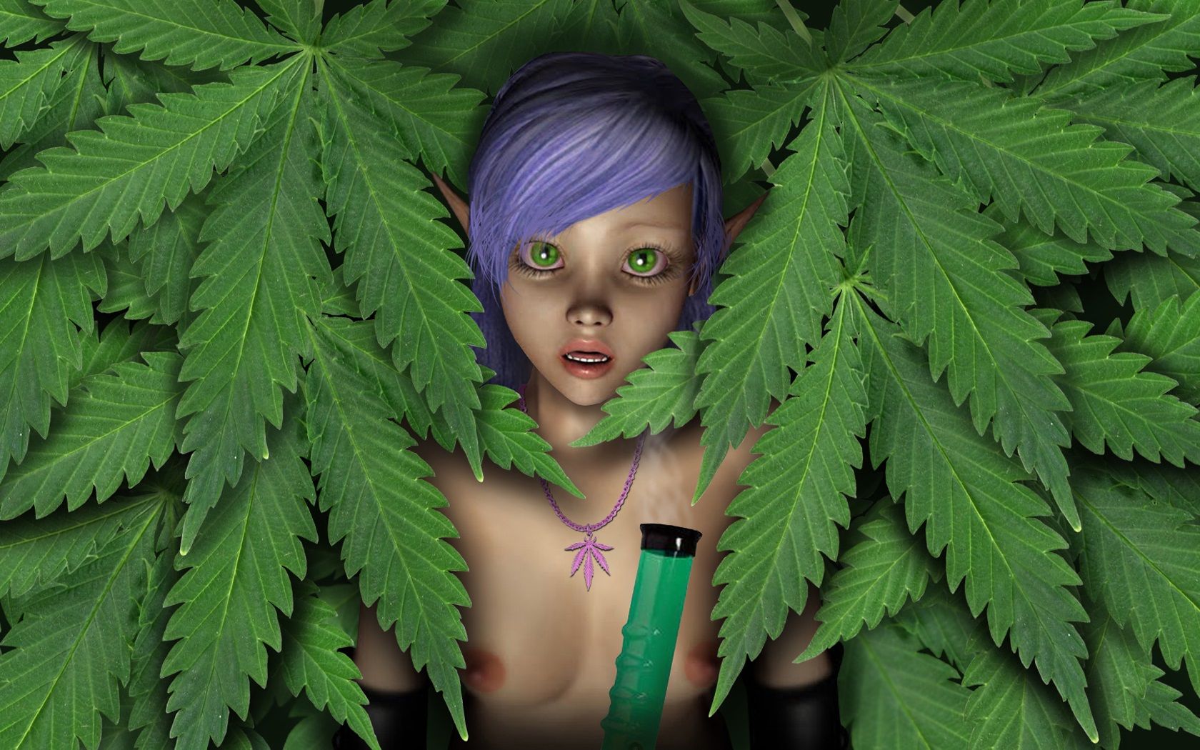 rasta 5.jpg